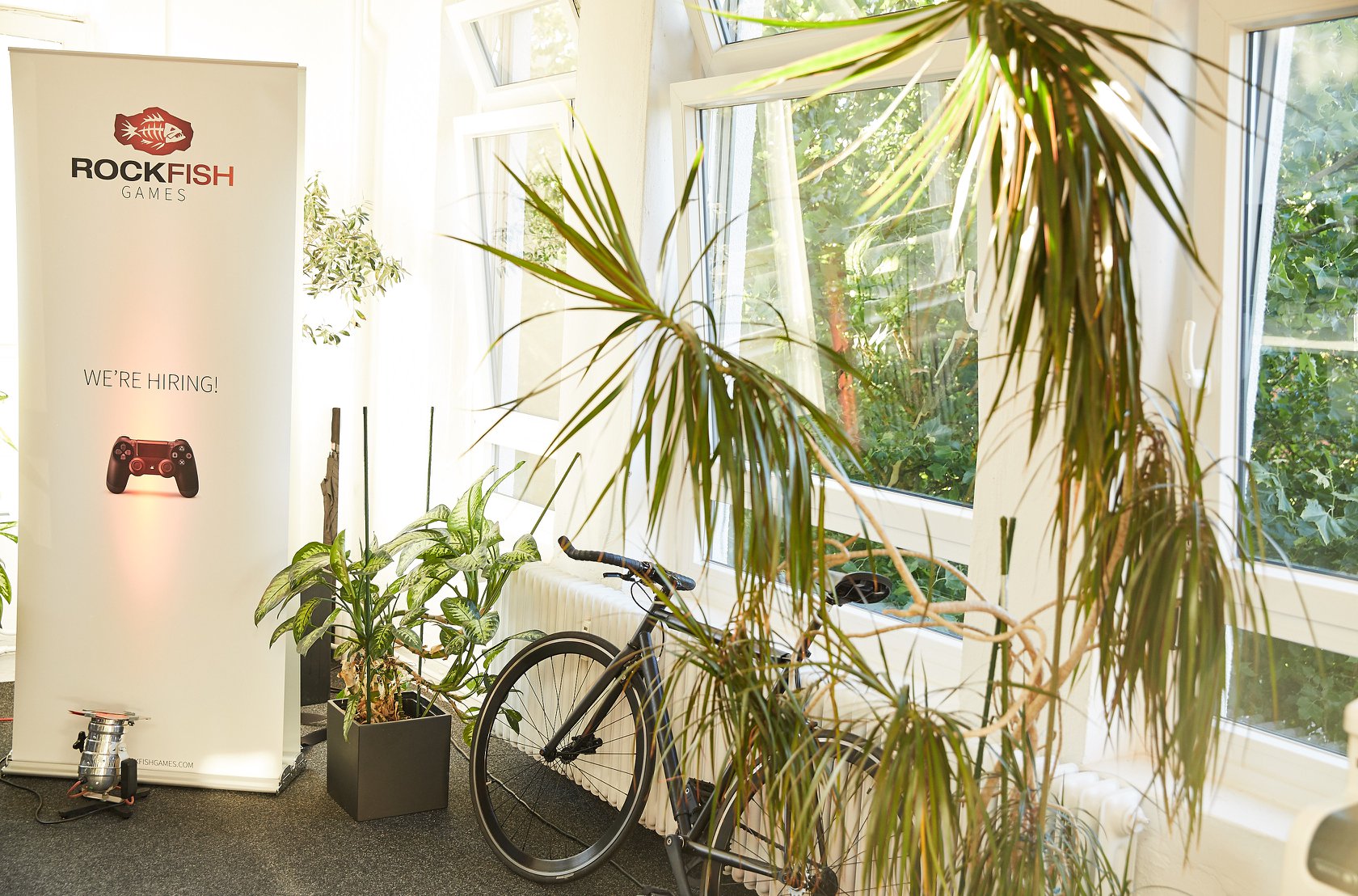 Studio ROCKFISH Games GmbH